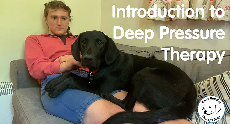 Introduction to Deep Pressure Therapy